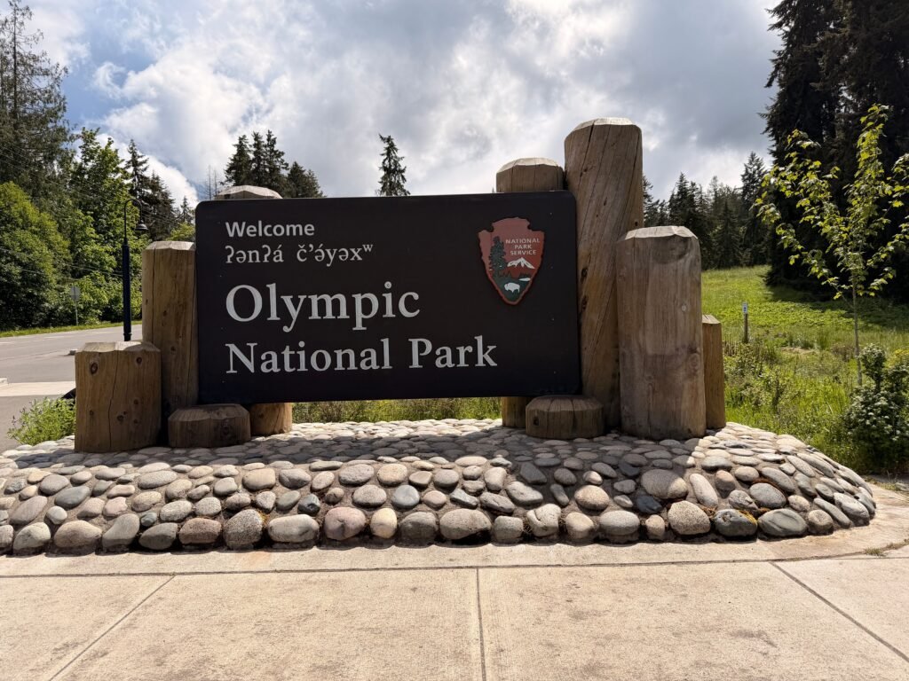 Old-growth forest trail in Olympic National Park