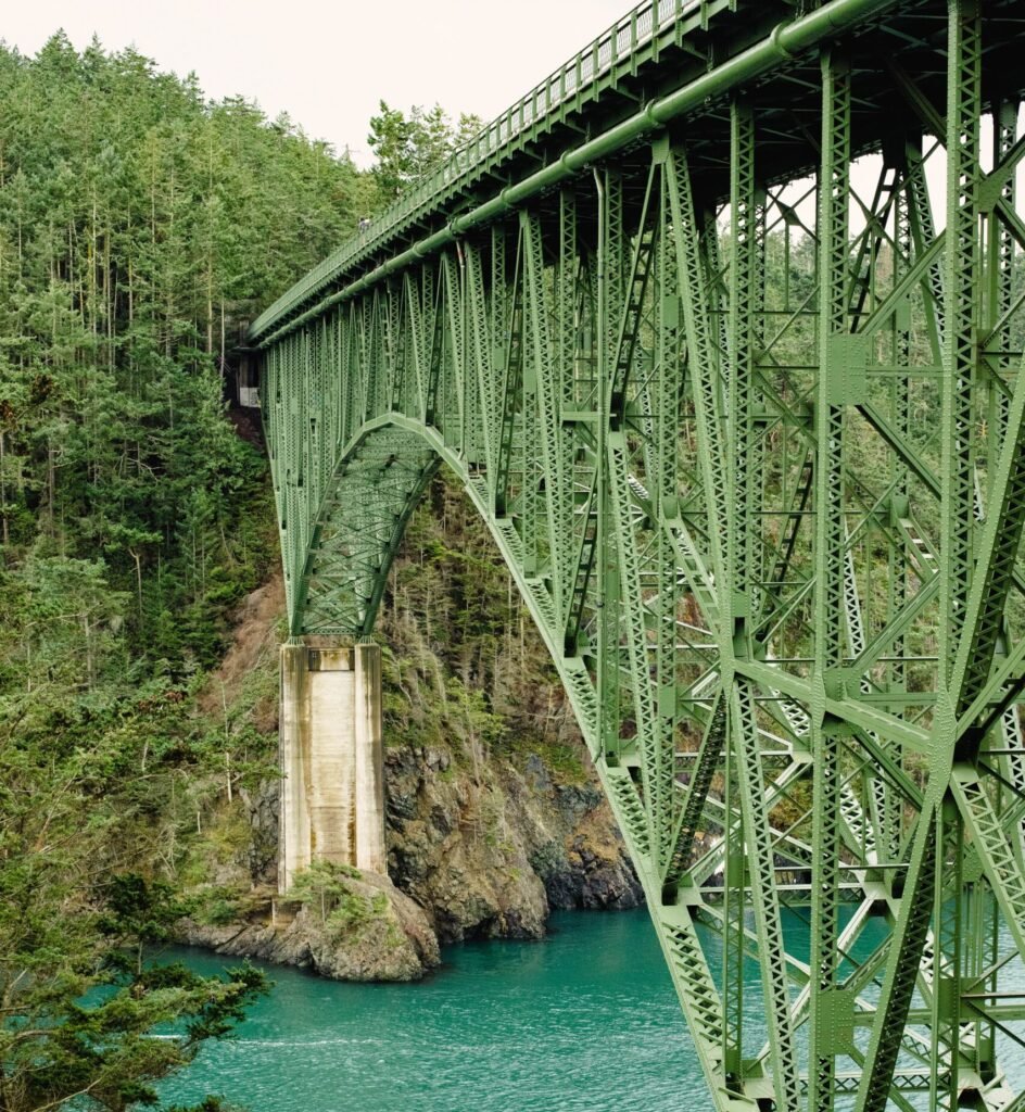 Bridge surrounded by evergreen trees
