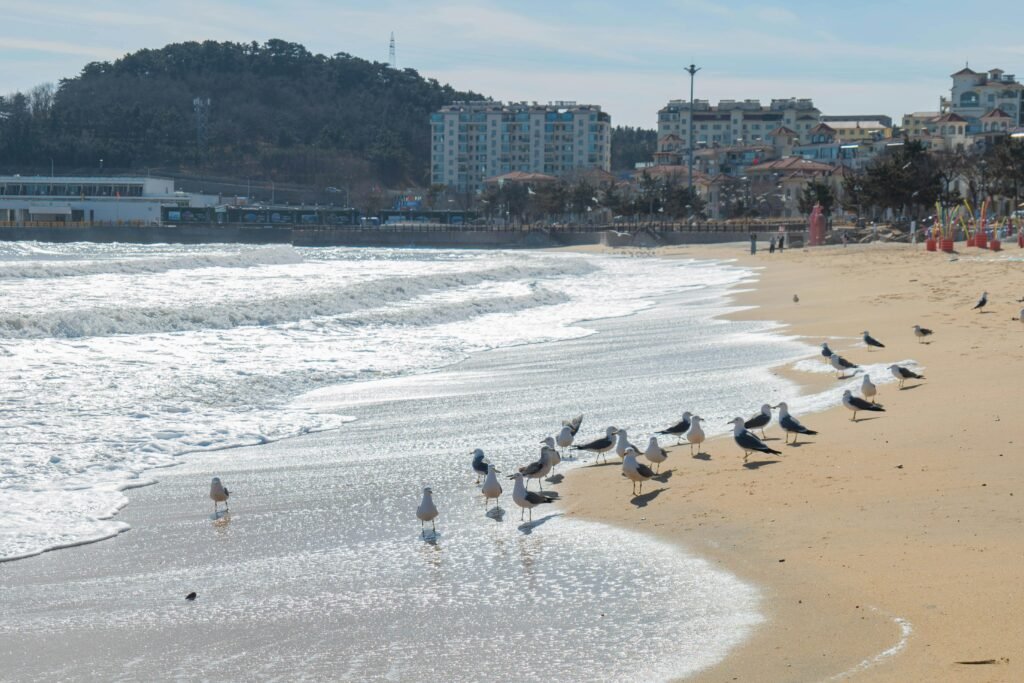 best hotels in Miami beach