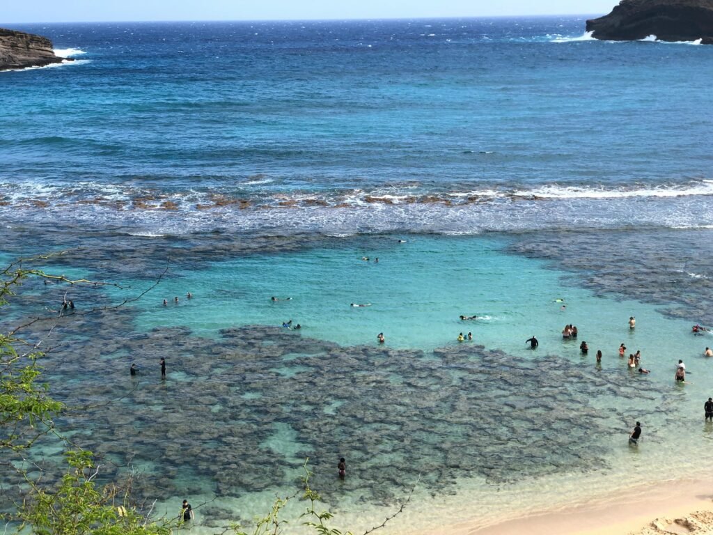 Best Beaches in Honolulu Ranked (From Popular to Hidden Spots)