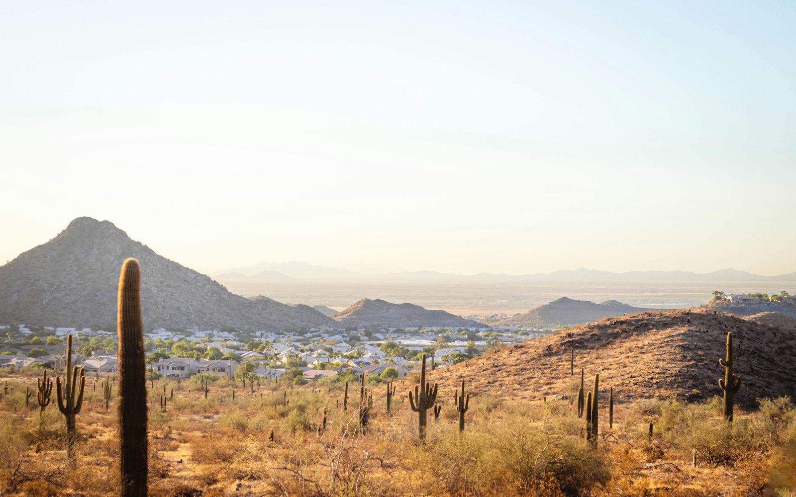 Top Things to Do in Scottsdale (Desert Adventures & City Life)
