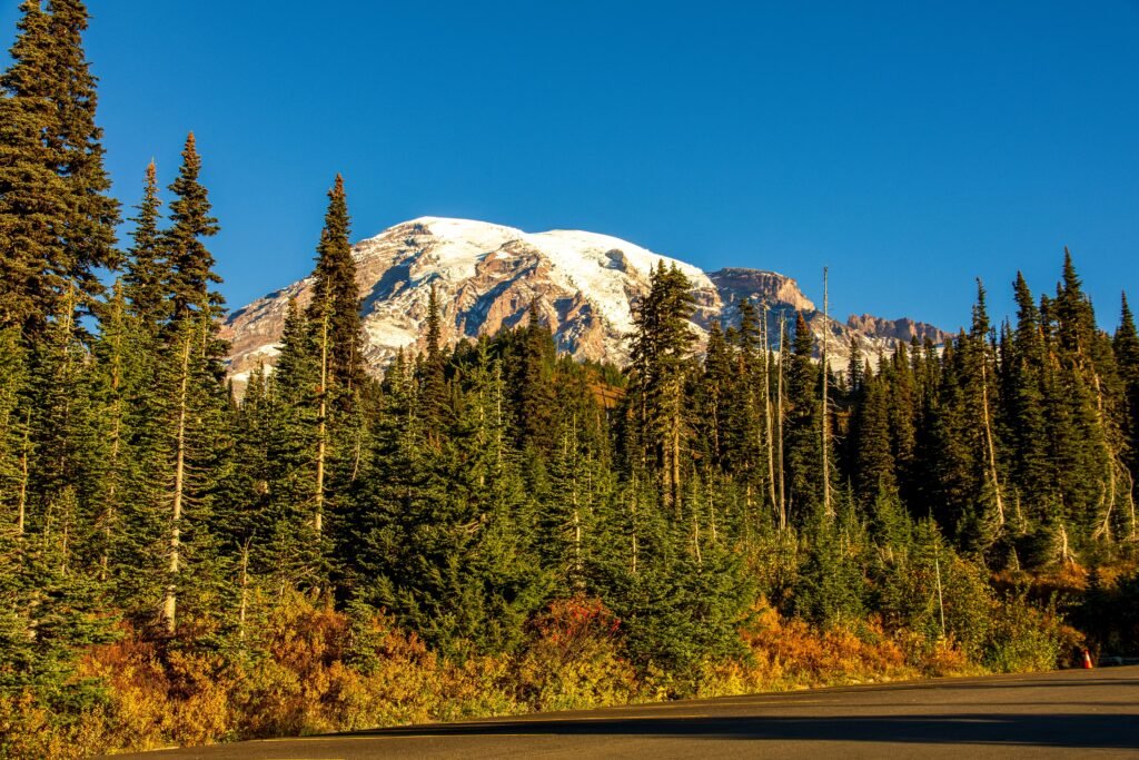 Mount Rainier surrounded by wildflowers in summer